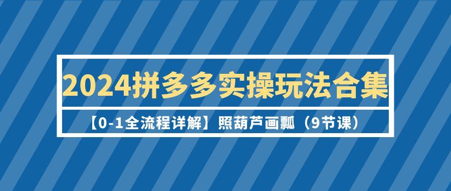 (9559期)2024拼多多实操玩法合集【0-1全流程详解】照葫芦画瓢(9节课)-知识创作