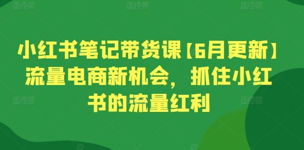 小红书笔记带货课【6月更新】流量电商新机会，抓住小红书的流量红利-知识创作
