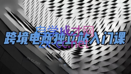 团长·跨境电商独立站入门课(2小时精华)-知识创作