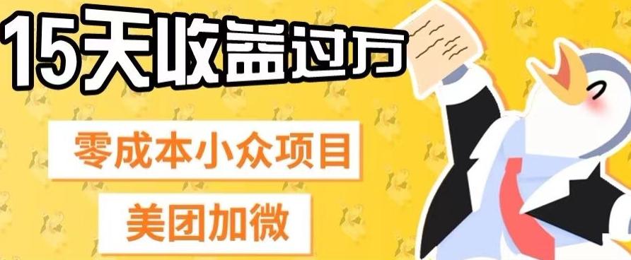 零成本小众项目，美团加微，一单4.5+，15天已经有人赚上万收益-知识创作