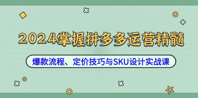2024掌握拼多多运营精髓：爆款流程、定价技巧与SKU设计实战课-知识创作