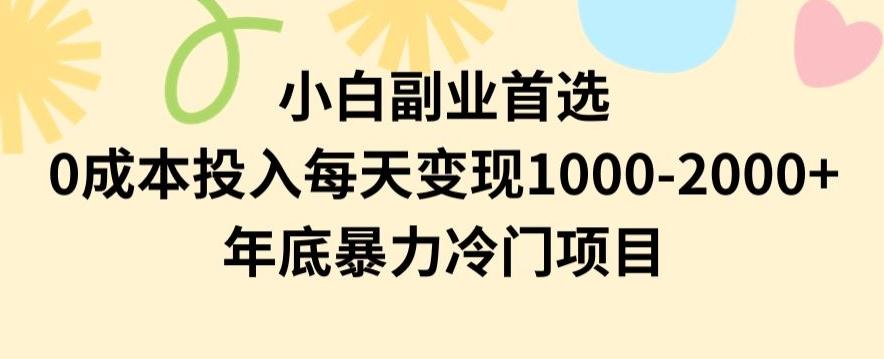 小白副业首选，0成本投入，每天变现1000-2000年底暴力冷门项目【揭秘】-知识创作