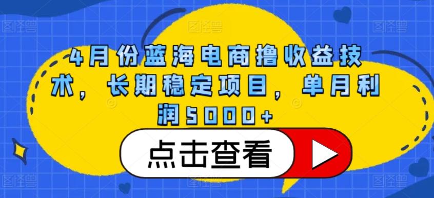4月份蓝海电商撸收益技术，长期稳定项目，单月利润5000+【揭秘】-知识创作