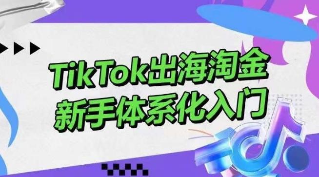 TikTok出海淘金，新手体系化入门，零基础快速入门，掌握短视频、直播带货等引流到变现的知识-知识创作