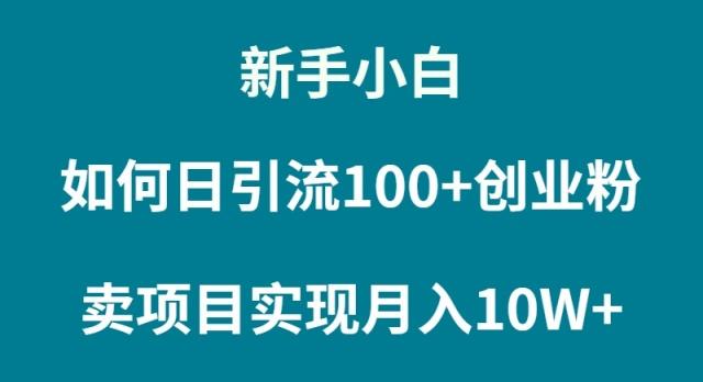 (9556期)新手小白如何通过卖项目实现月入10W+-知识创作