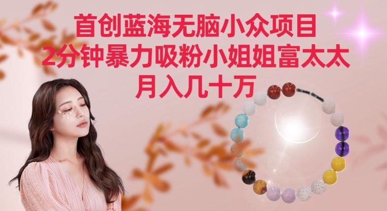 首创蓝海无脑小众项目，2分钟暴力吸粉小姐姐富太太，月入几十万【揭秘】-知识创作