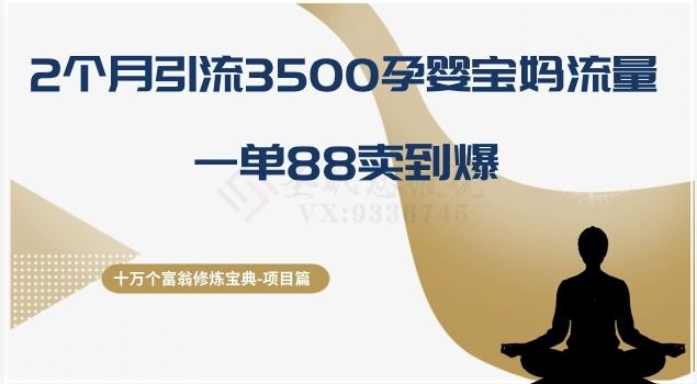 十万个富翁修炼宝典之13.2个月引流3500孕婴宝妈流量，一单88卖到爆-知识创作